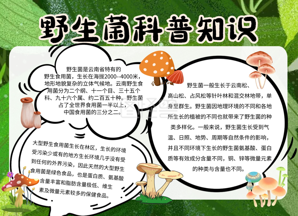 野生菌科普知识绿色简约卡通手抄报