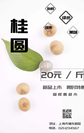 桂圆白色简约手机海报