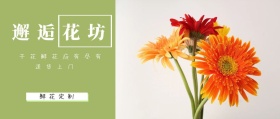 邂逅花坊 鲜花定制 送货上门 干花鲜花应有尽有 文艺清新花店促销公众号封面