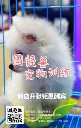 宠物狗训练可爱卡通狗开业蓝色手机营销海报