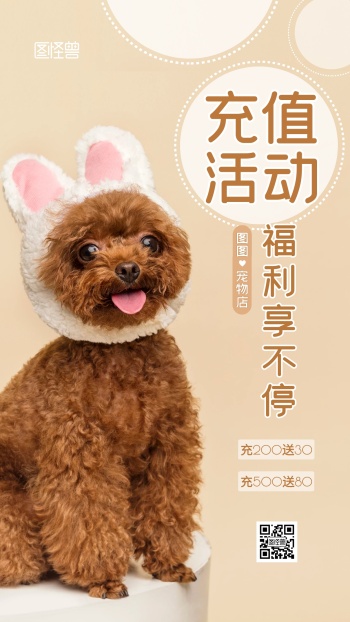宠物店充值活动宣传萌宠简约摄影图海报