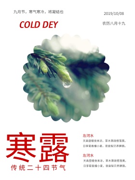 橙色简单寒露形状水滴叶子节日海报