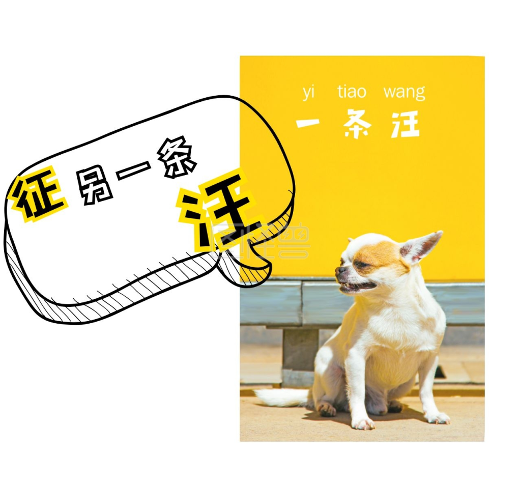 图怪兽朋友圈封面频道提供《单身狗》在线图片设计制作,点击"编辑"
