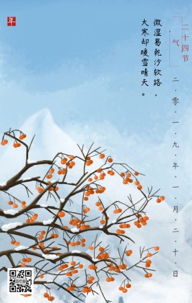 大寒雪天孤叶飞手机营销海报