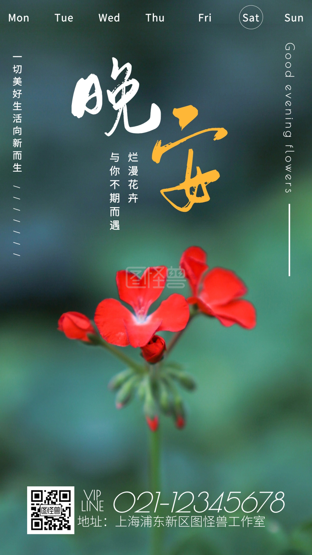 简约日签-晚安花朵摄影简约创意日签在线图片制作-图怪兽