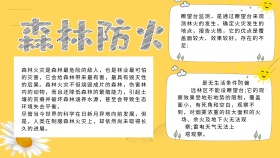 护林防火手抄报