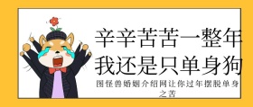 单身狗脱单公众号封面