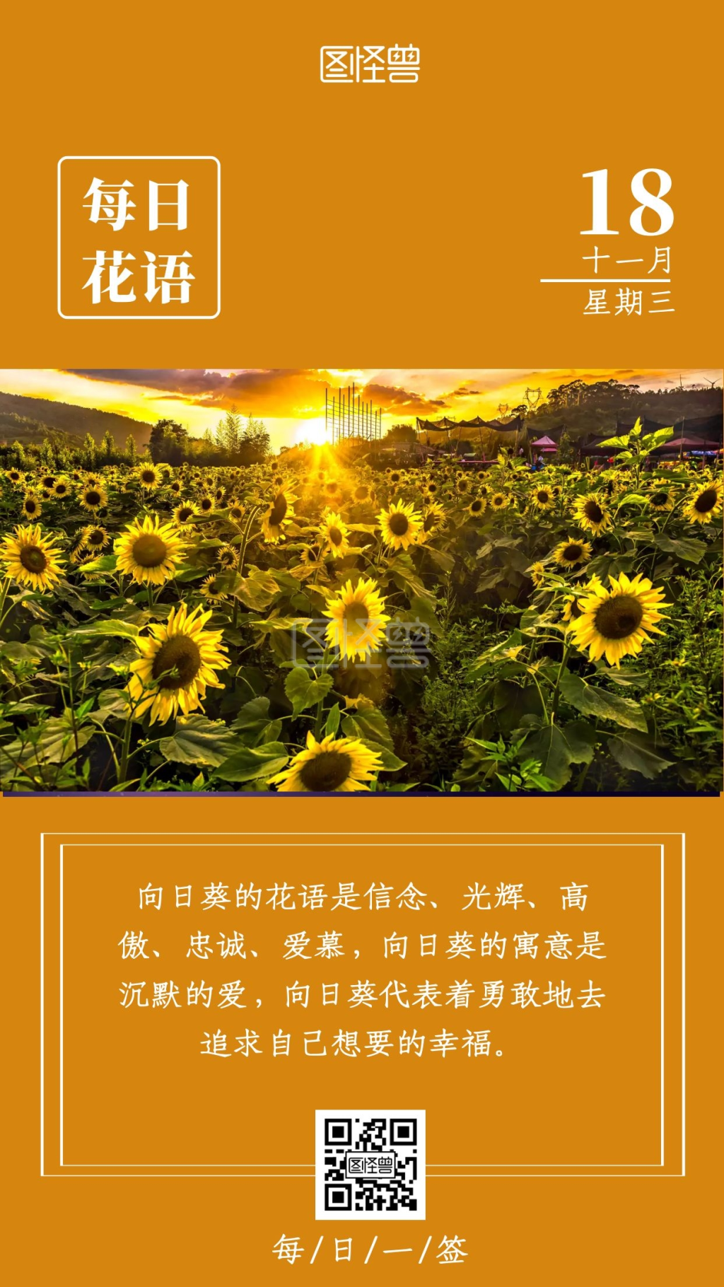 早安花语励志配图向日葵花语简约日签设计