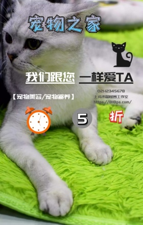 宠物之家限时折扣优惠实拍简约海报