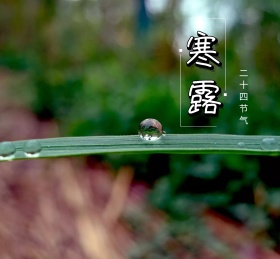 简约蓝色寒露二十四节气朋友圈封面配图
