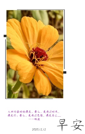 遇见自己+早上好+薰衣草