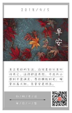 枫叶早安日签