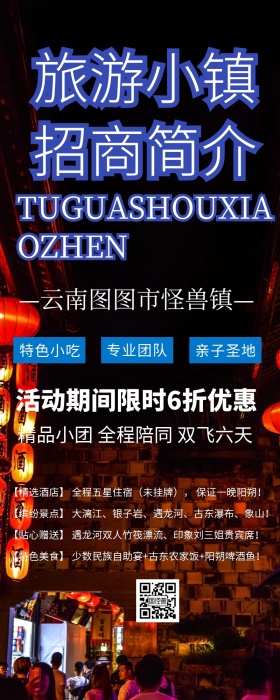 旅游小镇招商简介宣传图广营销长图