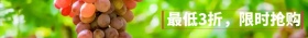 淘宝活动促销限时抢购网盟通栏banner