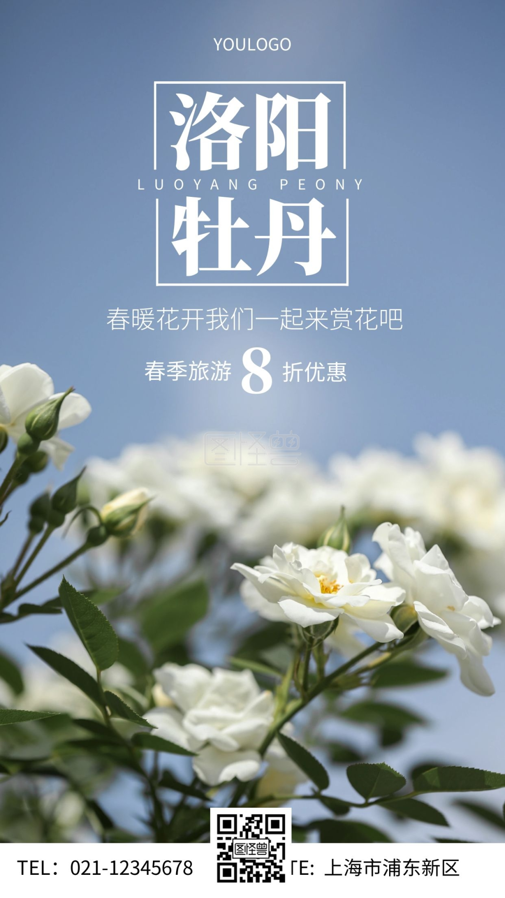 摄影图旅游开封洛阳牡丹简约风手机海报