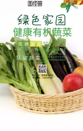绿色健康有机蔬菜海报设计