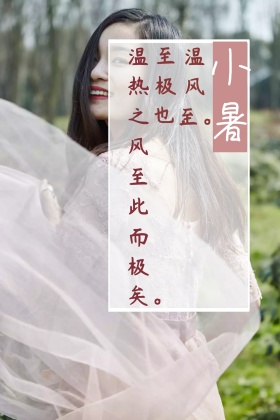 小暑夏季简约火烈鸟清新古诗