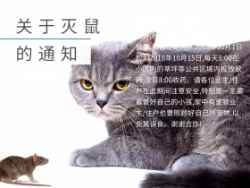 物业关于灭鼠的通知