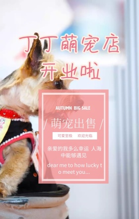 萌宠店开业宣传出售广告