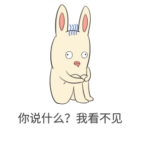 你说什么？我看不见表情包