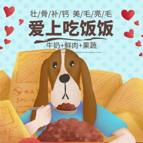 简约大气风格狗粮宠物粮食直通车主图模板