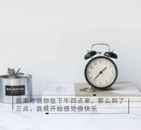 小王子狐狸黄色感到快乐朋友圈封面