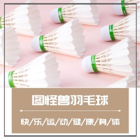 羽毛球户外运动简约裸色淘宝主图