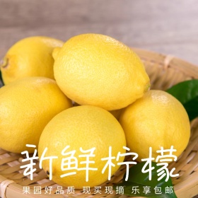 新鲜柠檬美味水果创意黄色淘宝主图