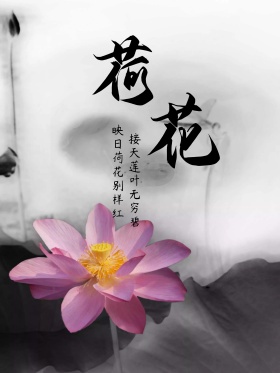 映日荷花水墨文化海报高清psd