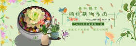 盆栽特惠简约植物banner