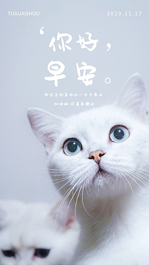 简约可爱早安宣言日签