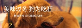 淘宝主页狗粮食品美味简约风格