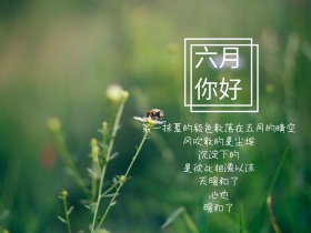 六月你好红包公众号配图