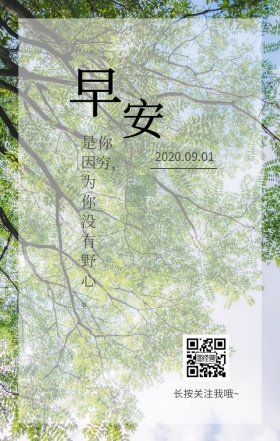 跳水摄影早安日签海报