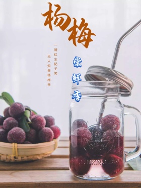 杨梅宣传海报