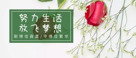 努力生活放飞梦想公众号封面
