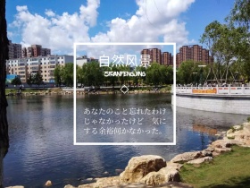 自然风景简约文艺大树通用公众号配图