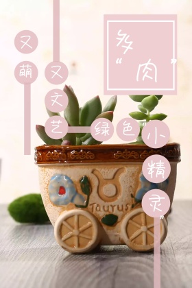 多肉植物粉色公众号封面图模版