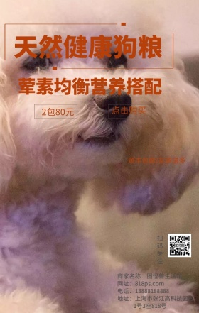 宠物狗粮动物猫狗海报