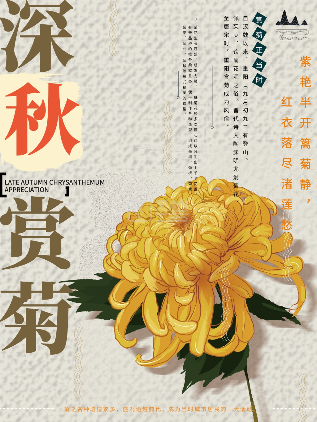 原创手绘简约文艺菊花展海报