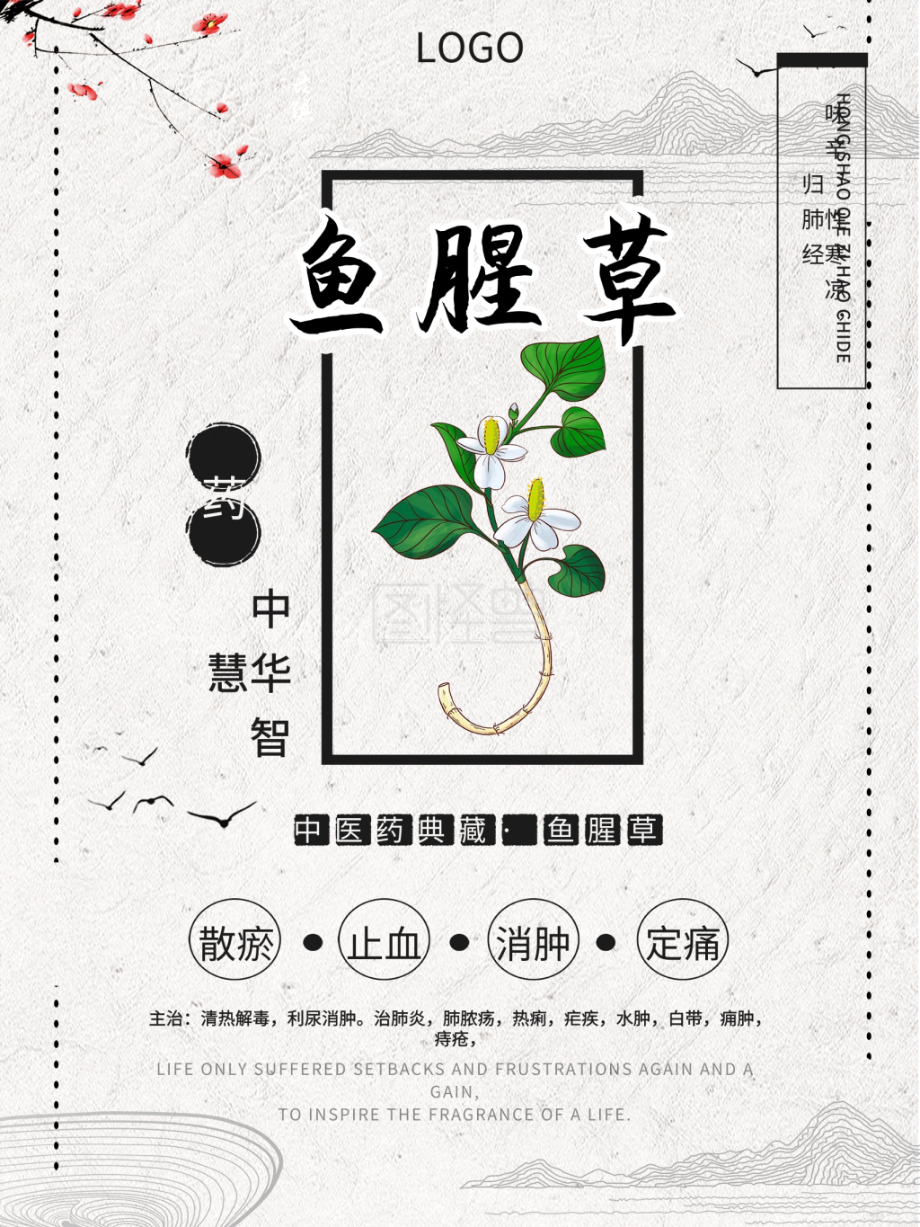 水墨风鱼腥草中药海报