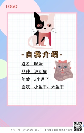 宠物简历猫咪手机海报