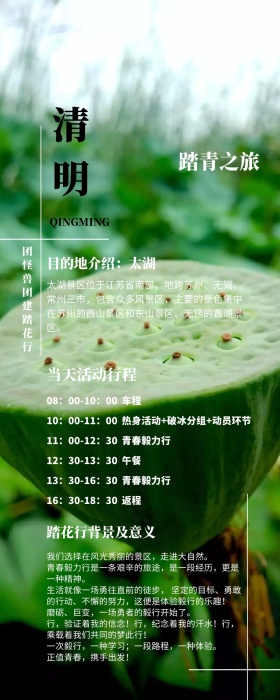 清明节公司团建简约清新风活动流程营销长图