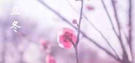 扁平立冬微博焦点图模板