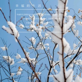 幸福的生活风景蓝色文艺公众号正方形配图