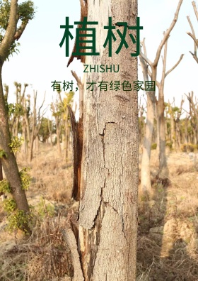 植树节组团绿化植树种草