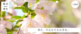 帮你 解惑  明天，你还会不会记得我。  夜听公众号封面