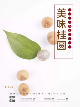 唯美大气药材美食桂圆肉新品上市促销海报