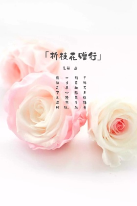 樱花树古风诗词简约公众号配图
