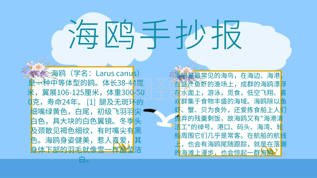 海鸥手抄报动物卡通